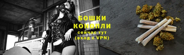 индика Куйбышев