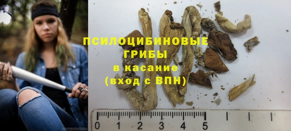индика Куйбышев