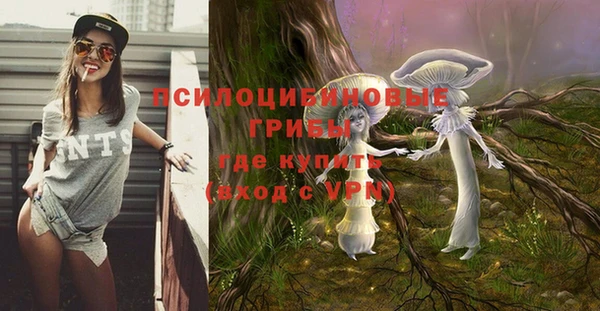 PSILOCYBIN Кулебаки
