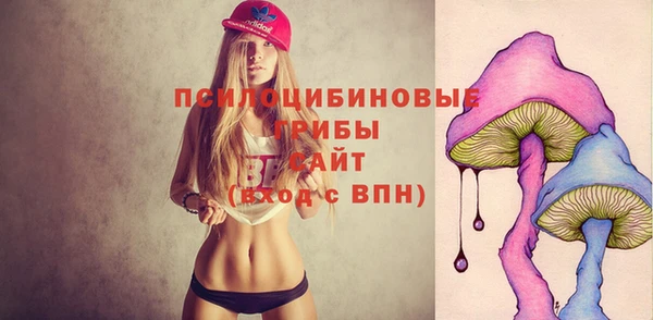 PSILOCYBIN Кулебаки