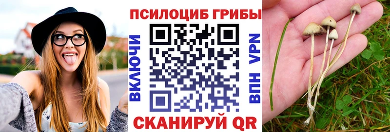 Псилоцибиновые грибы прущие грибы  наркошоп  Магас 